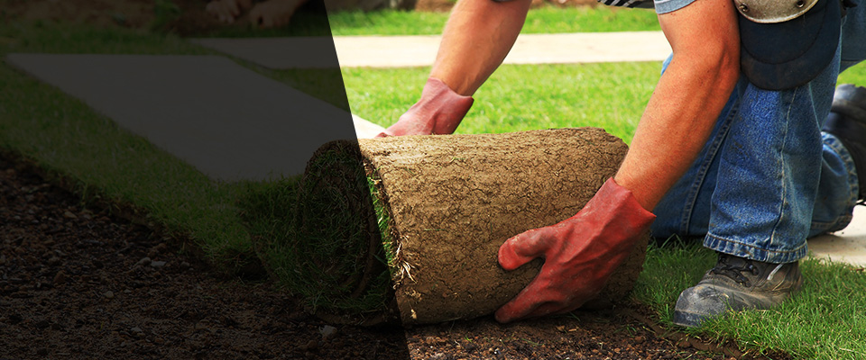 Little Rock Landscapers